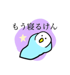 熊本弁のインコ（個別スタンプ：37）