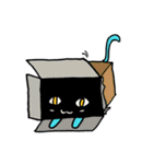 nongwanwanthecat（個別スタンプ：16）