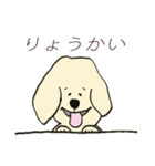 愛犬リンとラン in TOKYO（個別スタンプ：37）