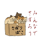 働きたくないでござるネコ（個別スタンプ：39）