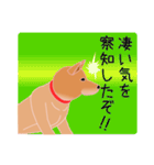 柴田さんと近所の犬（個別スタンプ：31）