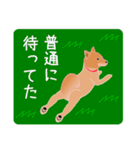 柴田さんと近所の犬（個別スタンプ：35）