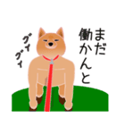 柴田さんと近所の犬（個別スタンプ：36）