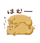 むっちりハムスタンプ（個別スタンプ：6）