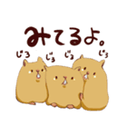 むっちりハムスタンプ（個別スタンプ：16）