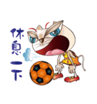 Cicada Cat / Cat Football-storm raids（個別スタンプ：25）