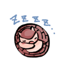 あるまじろず（個別スタンプ：12）