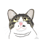 愛おしいニャンズ（個別スタンプ：31）