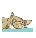 愛おしいニャンズ（個別スタンプ：33）