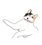 愛おしいニャンズ（個別スタンプ：35）