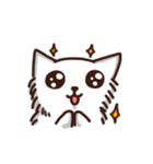 the crazy cat（個別スタンプ：17）