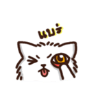 the crazy cat（個別スタンプ：22）