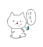のらネコさん（個別スタンプ：16）