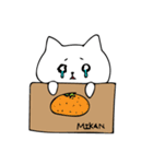 のらネコさん（個別スタンプ：24）