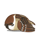 fat sparrow（個別スタンプ：2）