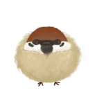 fat sparrow（個別スタンプ：17）