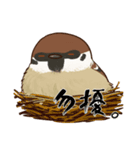 fat sparrow（個別スタンプ：24）