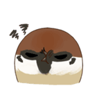 fat sparrow（個別スタンプ：31）