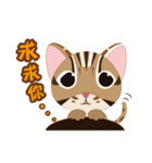 cat-bear in taiwan（個別スタンプ：33）