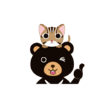 cat-bear in taiwan（個別スタンプ：39）