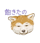 6犬種の日本犬スタンプ（個別スタンプ：1）