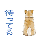 6犬種の日本犬スタンプ（個別スタンプ：2）