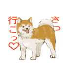 6犬種の日本犬スタンプ（個別スタンプ：5）