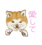 6犬種の日本犬スタンプ（個別スタンプ：6）