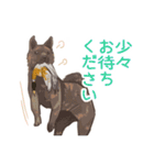 6犬種の日本犬スタンプ（個別スタンプ：11）