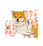 6犬種の日本犬スタンプ（個別スタンプ：19）