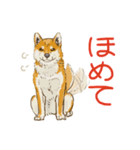 6犬種の日本犬スタンプ（個別スタンプ：21）