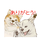 6犬種の日本犬スタンプ（個別スタンプ：38）