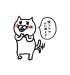 白ねこミーコの日常（個別スタンプ：16）