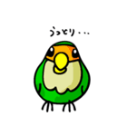 コザクラボタンインコのルリ（個別スタンプ：3）
