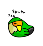 コザクラボタンインコのルリ（個別スタンプ：5）