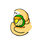 コザクラボタンインコのルリ（個別スタンプ：8）