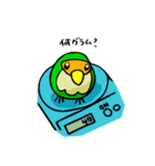 コザクラボタンインコのルリ（個別スタンプ：10）