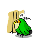 コザクラボタンインコのルリ（個別スタンプ：12）