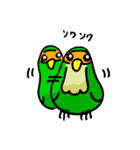 コザクラボタンインコのルリ（個別スタンプ：15）