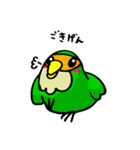 コザクラボタンインコのルリ（個別スタンプ：16）