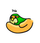 コザクラボタンインコのルリ（個別スタンプ：31）