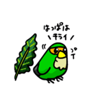 コザクラボタンインコのルリ（個別スタンプ：35）