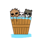 Kamaijung(ENG)（個別スタンプ：40）