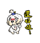 Silly Diary-The pets version（個別スタンプ：1）