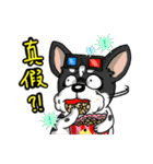 Silly Diary-The pets version（個別スタンプ：3）