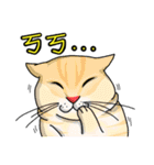 Silly Diary-The pets version（個別スタンプ：4）