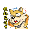 Silly Diary-The pets version（個別スタンプ：9）