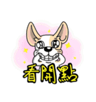 Silly Diary-The pets version（個別スタンプ：16）