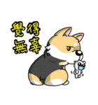 Silly Diary-The pets version（個別スタンプ：20）