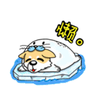 Silly Diary-The pets version（個別スタンプ：24）